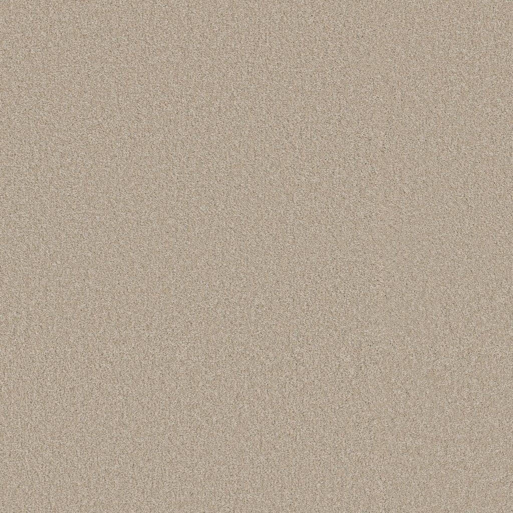 Shaw Floors Way To Go III - Adobe Sand