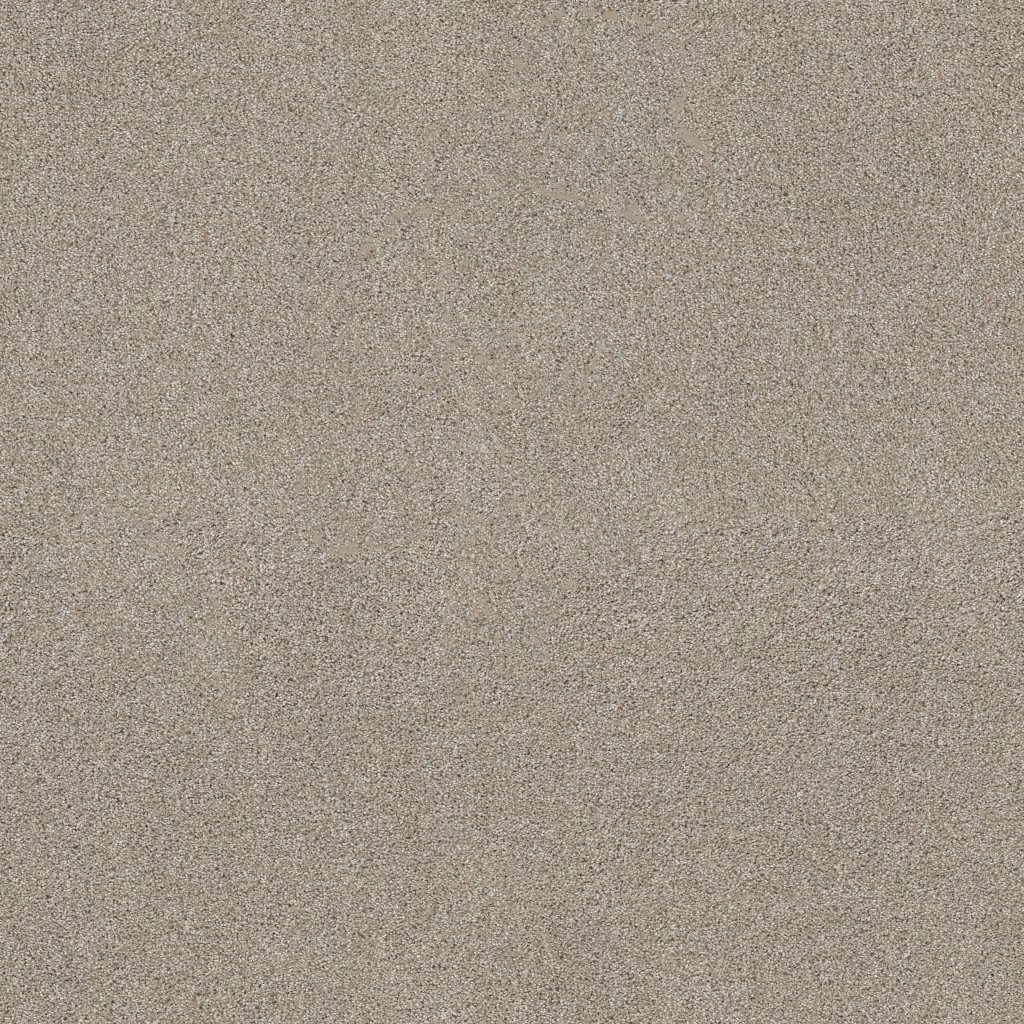 Shaw Floors Ocean View - Shale