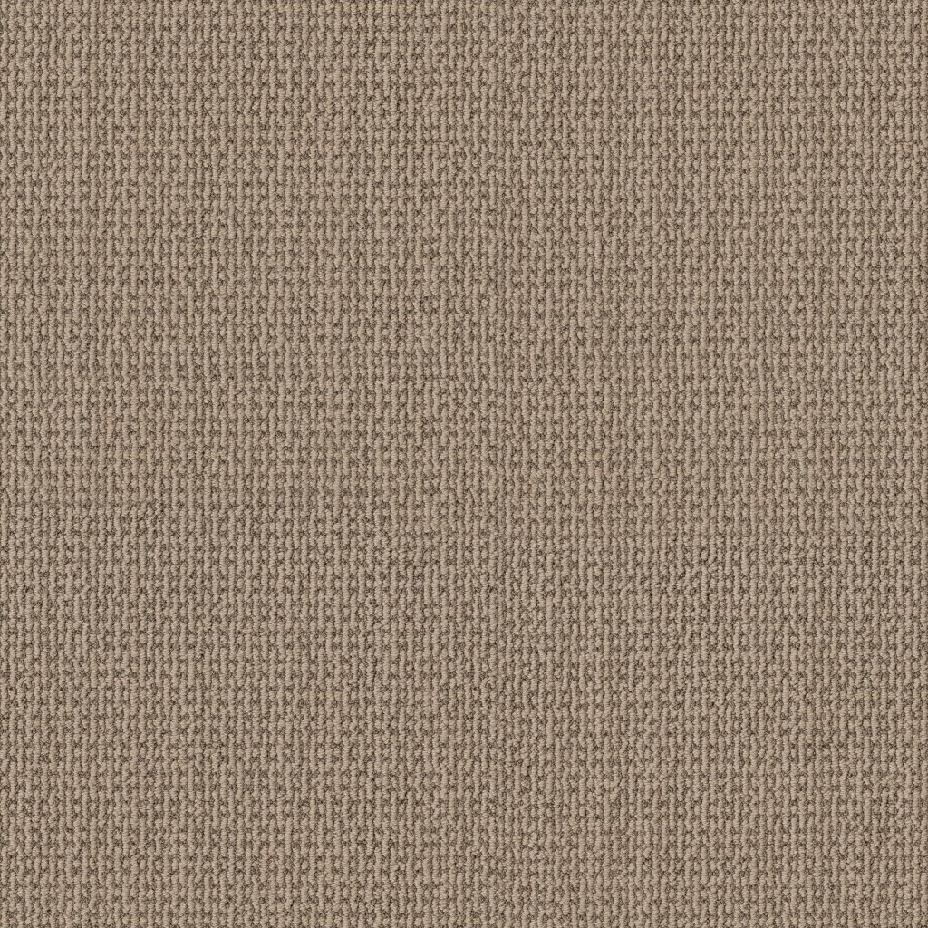 Shaw Floors Crafted Embrace - Beige Bisque