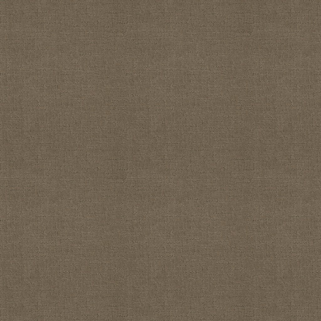 Shaw Floors One More Hour - Porous Stone