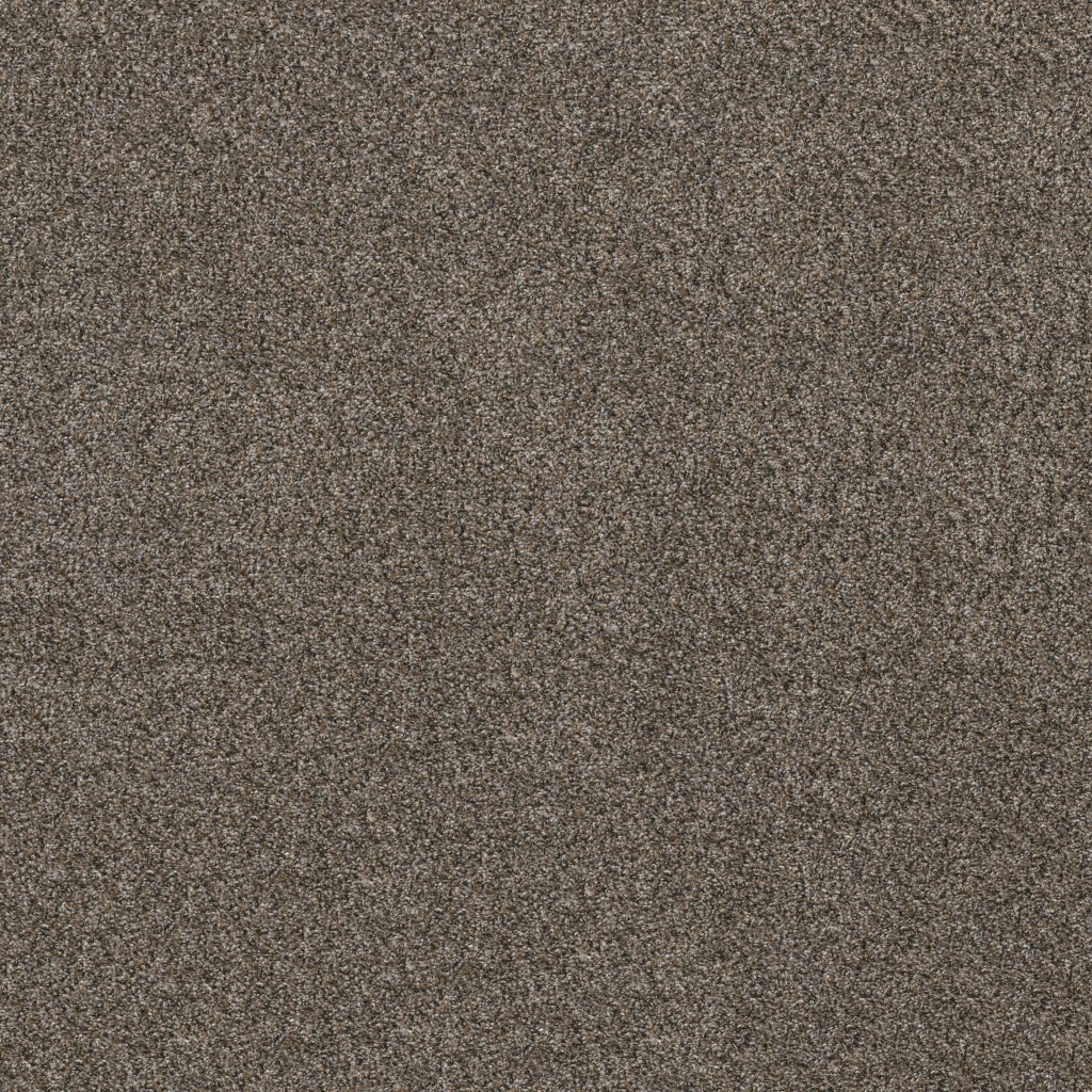 Shaw Floors Soft Effervescence - Tree Bark
