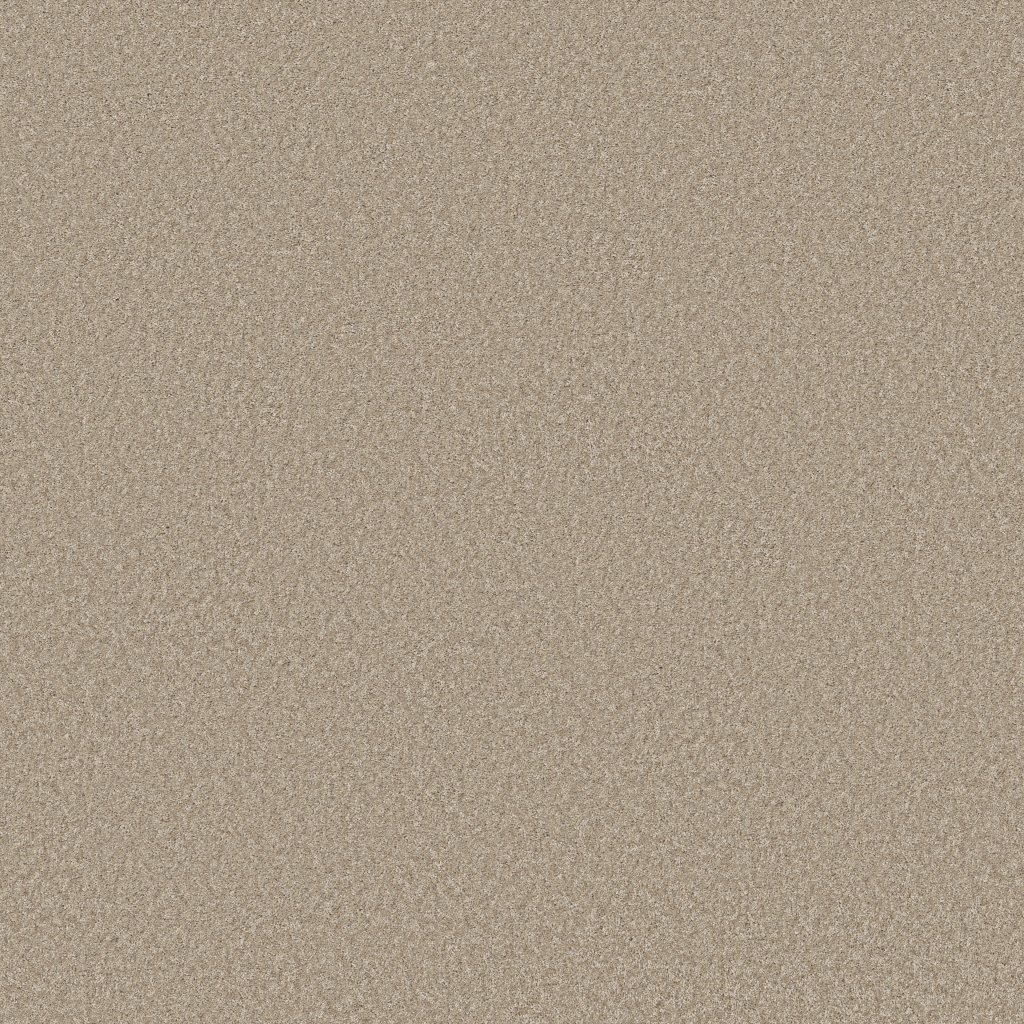 Shaw Floors You Got This I - Subtle Clay