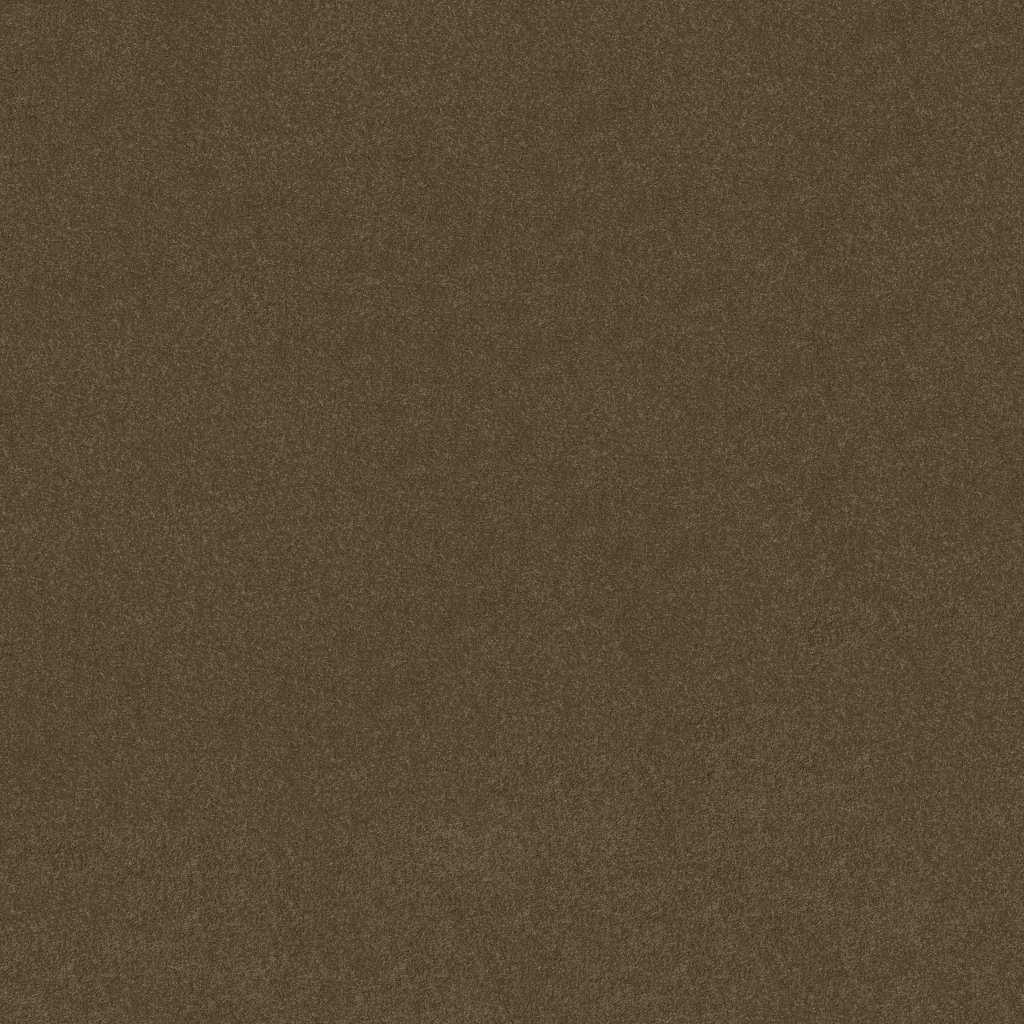Shaw Floors Ultimate Expression 15' - Pine Cone