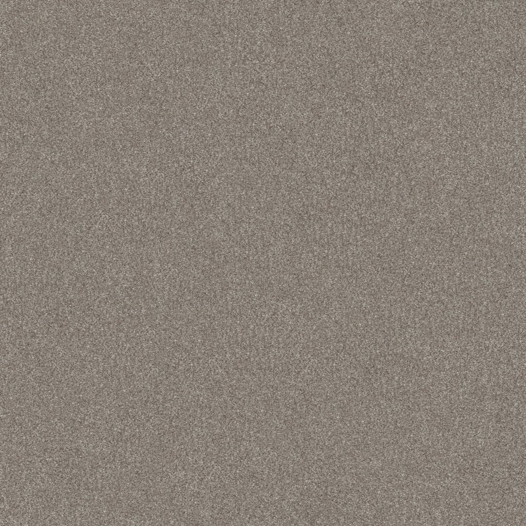Shaw Floors GO AFTER IT 4 - Spinning Wheel