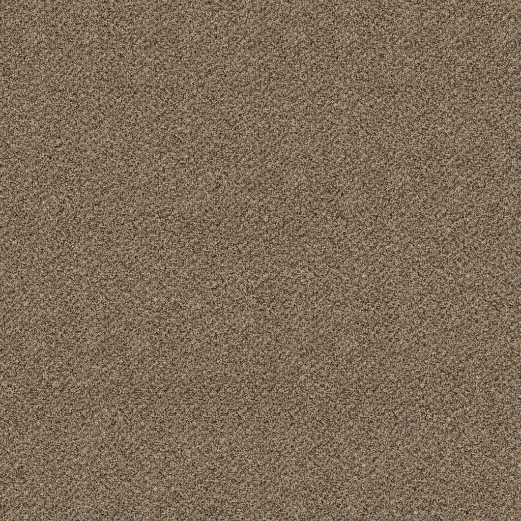 Shaw Floors Break Free - Studio