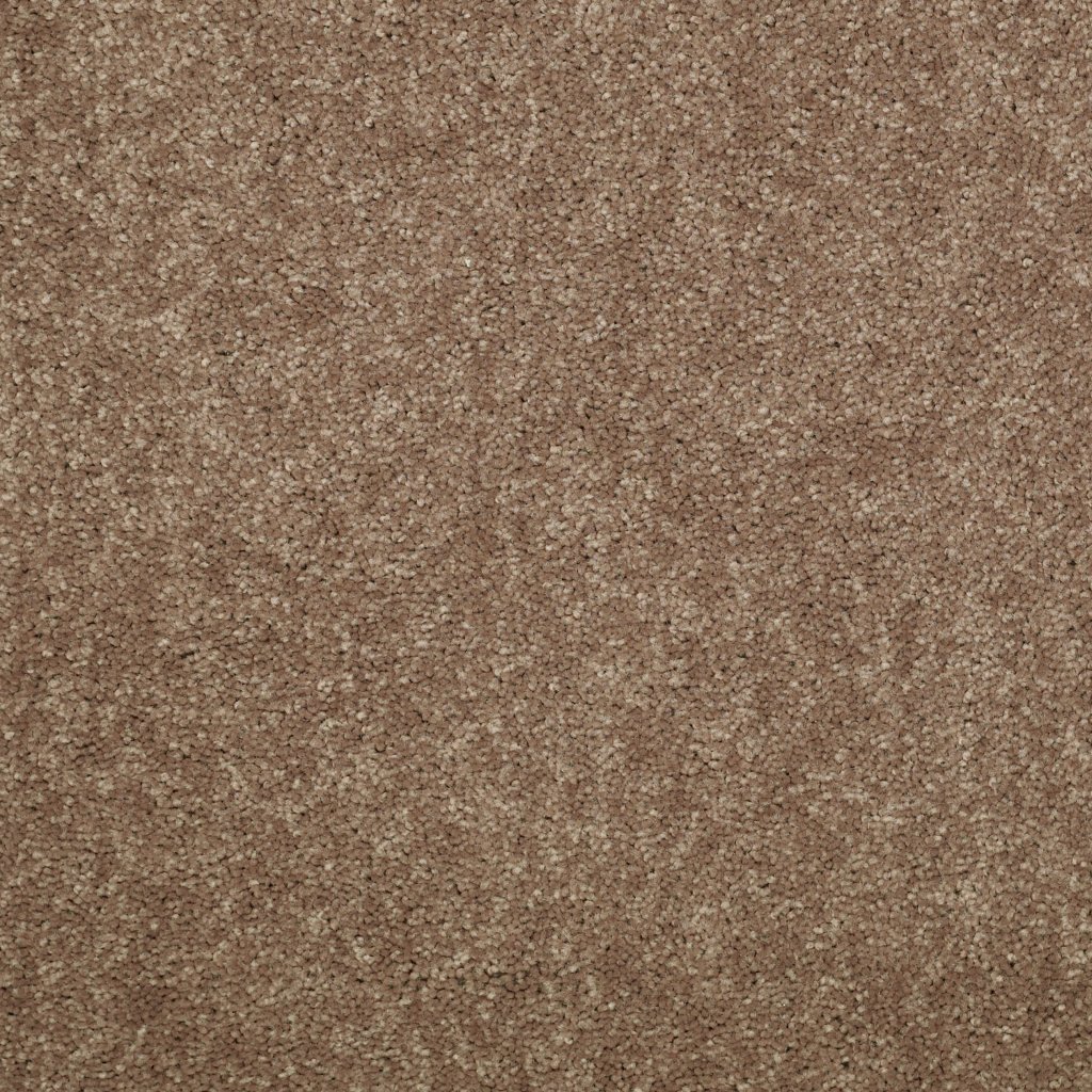 Shaw Floors Sun Valley 12 - Candied Truffle