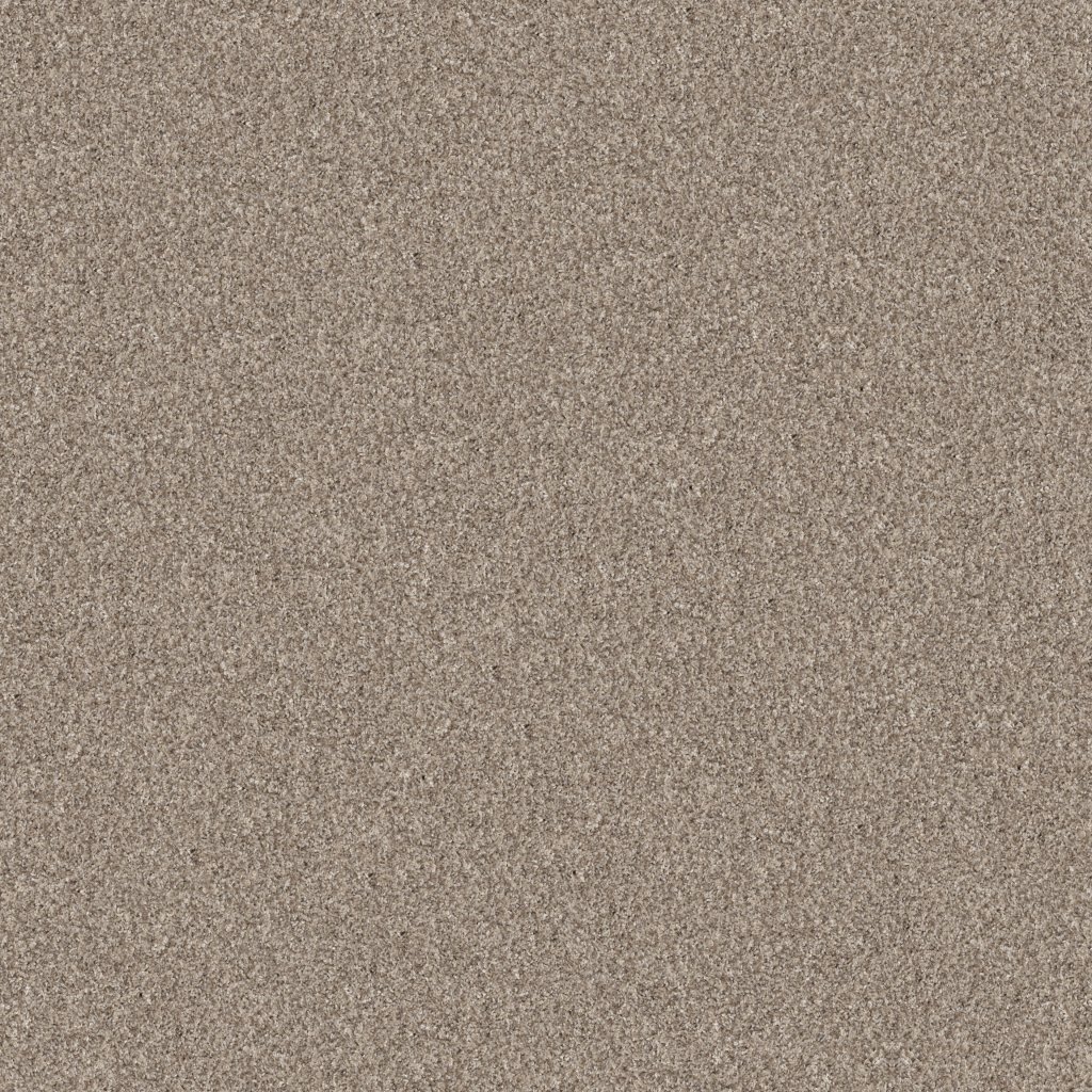 Shaw Floors Yes You Can III 15' - Natural