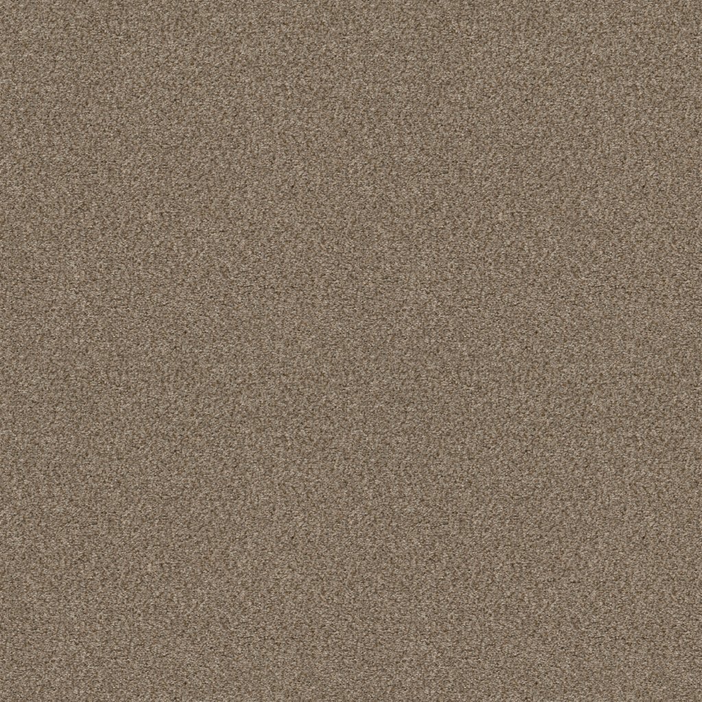 Shaw Floors Cabana Life (B) - Brown Reed