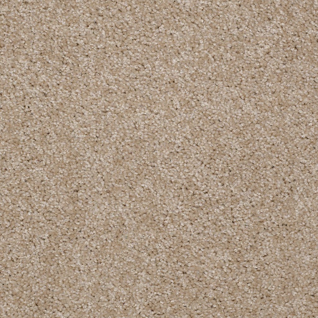 Shaw Floors Victory - Shell Island