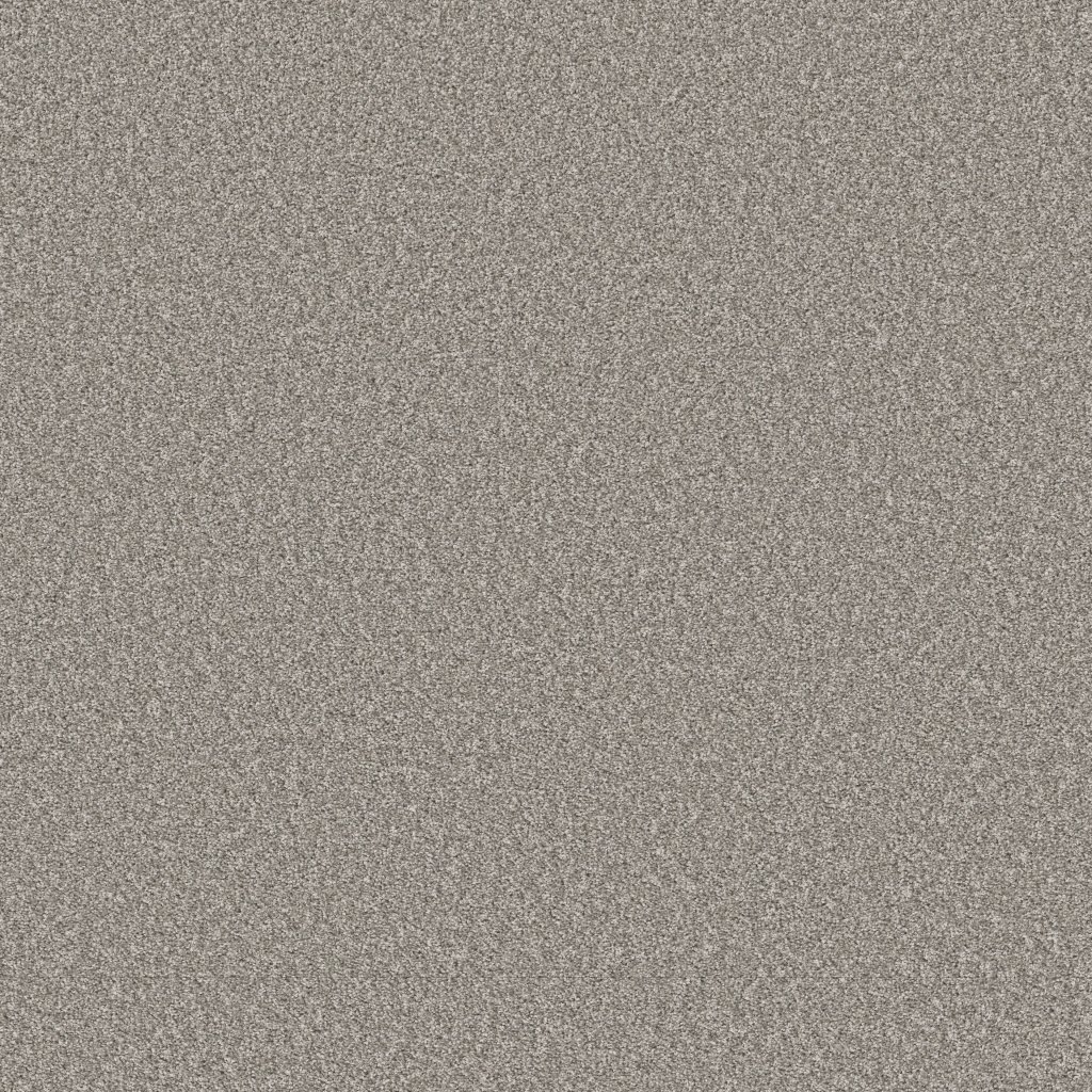 Shaw Floors Affirmation II - Lunar Surface