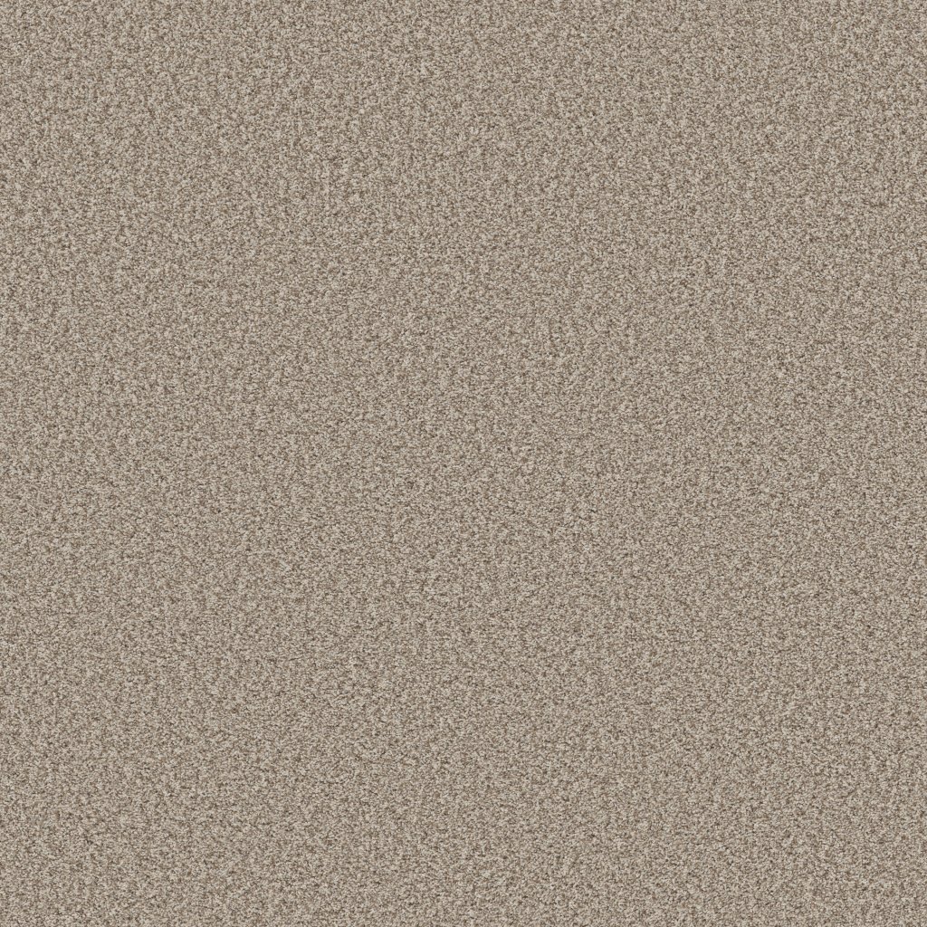 Shaw Floors Prescott Valley - Spun Cotton