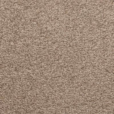 Mohawk Pleasant Touch - Tudor Brown