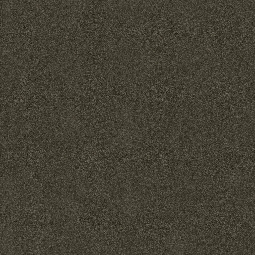 Shaw Floors Salina I - Worn Pewter