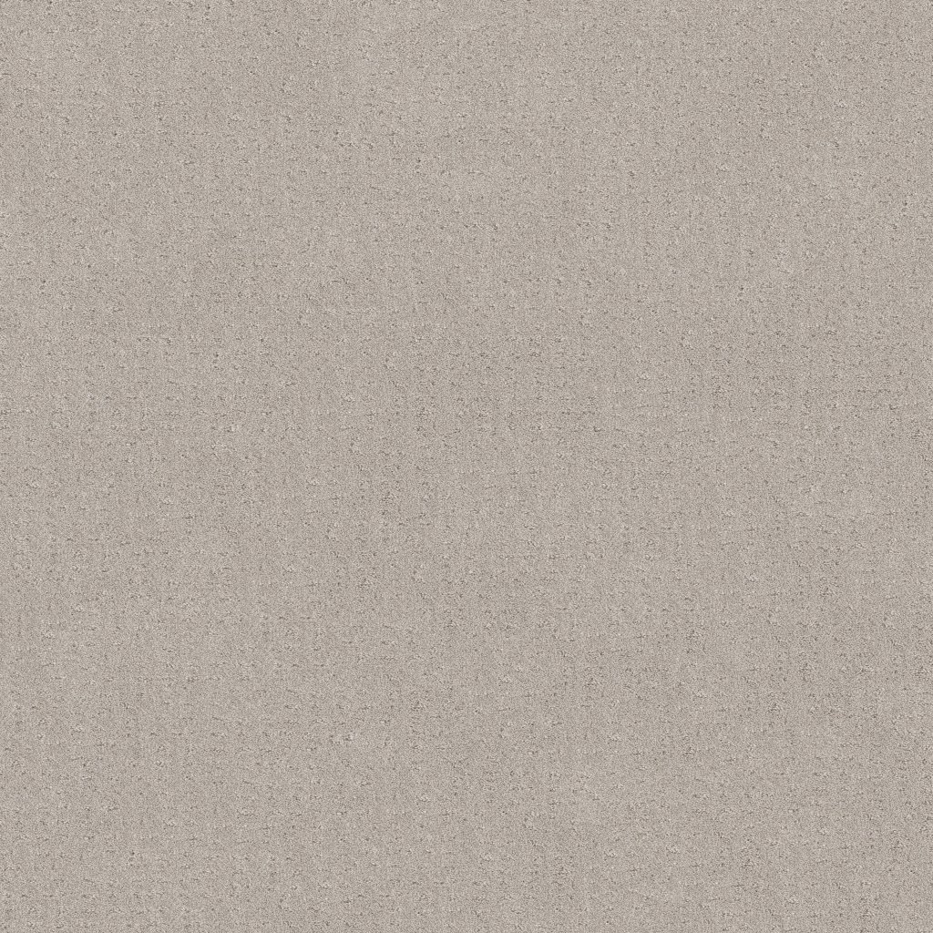 Shaw Floors Chic Nuance - Winters Dawn