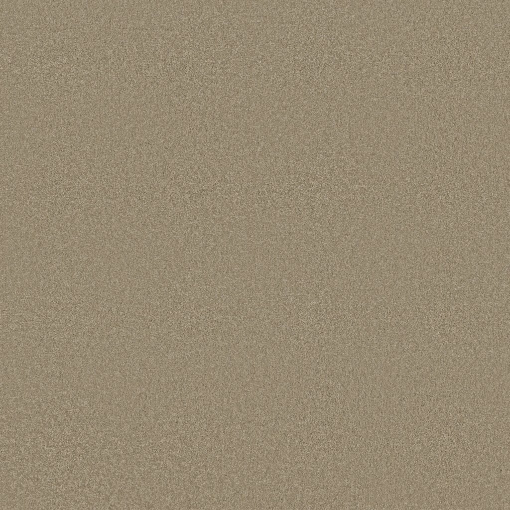 Shaw Floors Ultimate Expression 12' - Soft Shadow