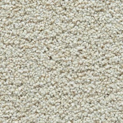 Mohawk Gentle Guardian IV - Cozy Beige