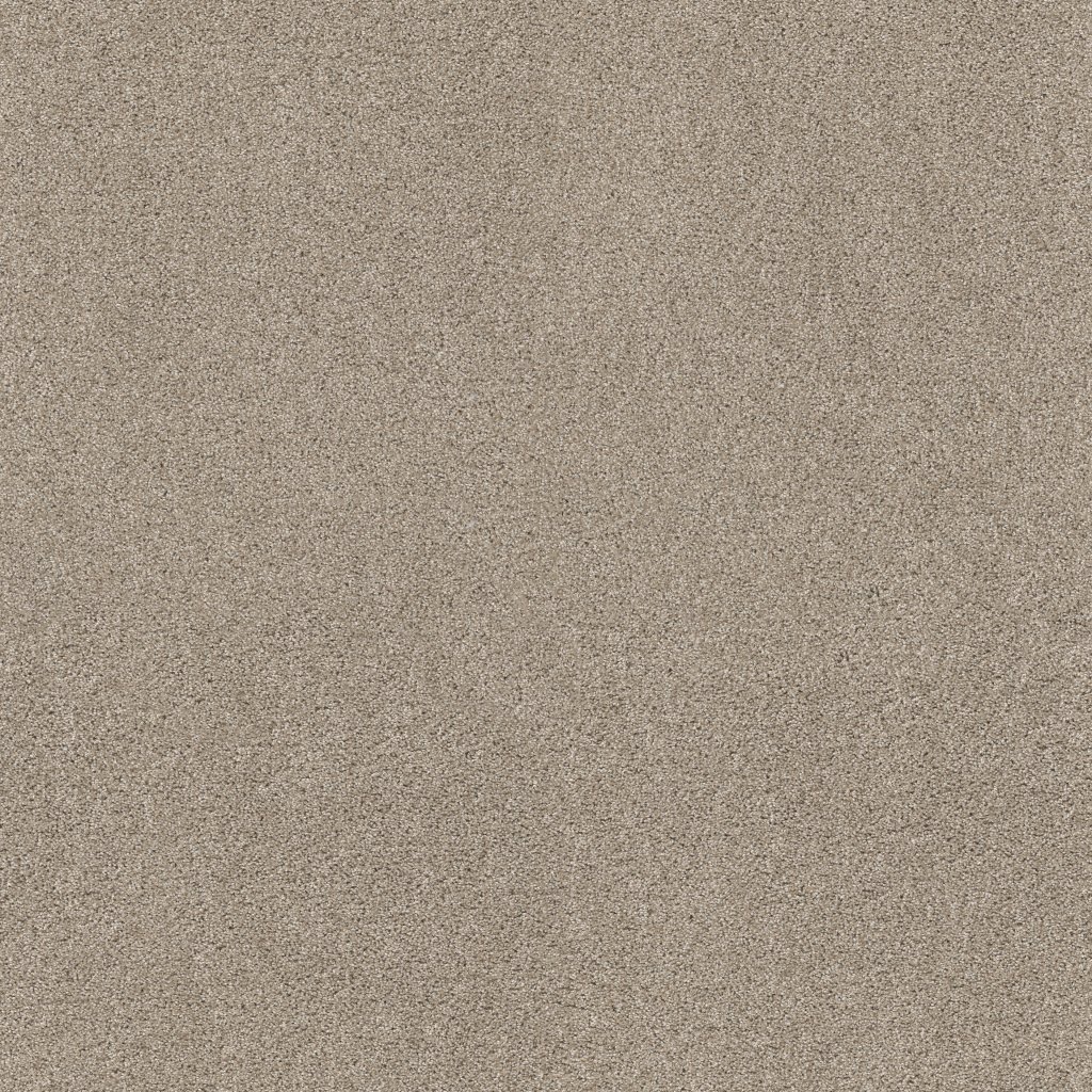 Shaw Floors Ocean View - Smoky Suede