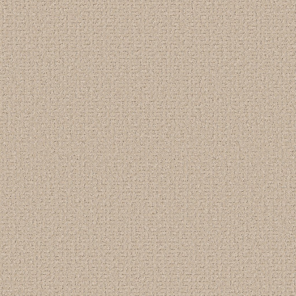 Shaw Floors Secret Journey - Dune View