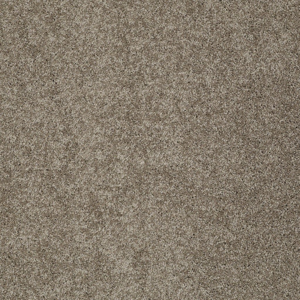 Shaw Floors Inspired By Ii - Flax