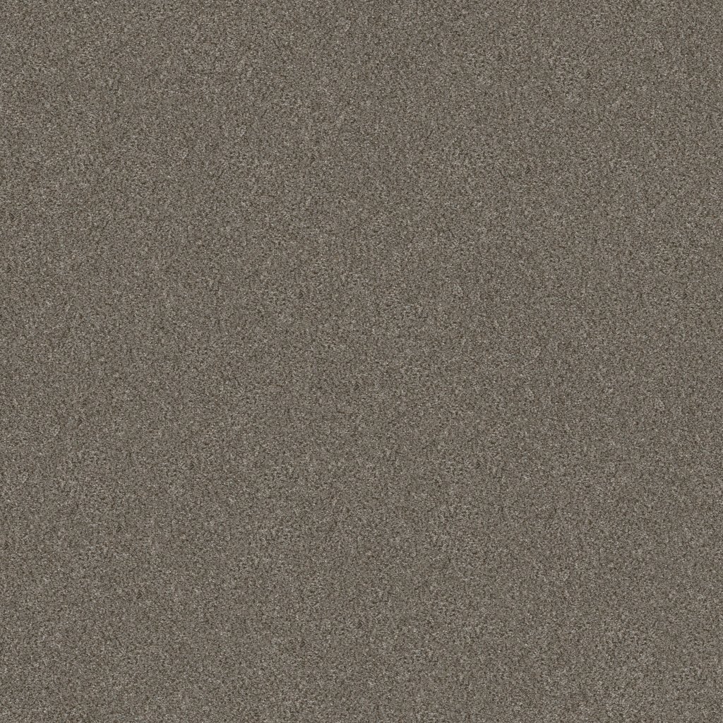Shaw Floors Without Limits III - Misty Mica
