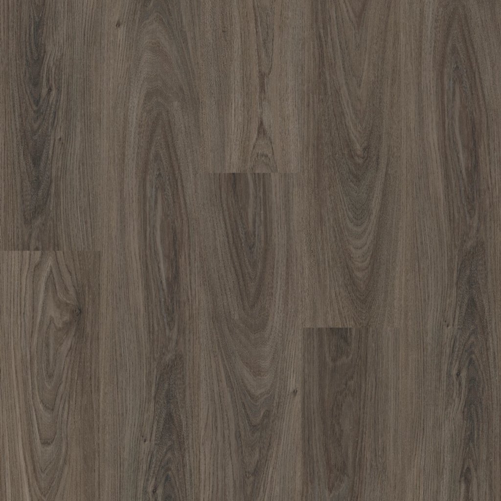 Philadelphia Commercial Setup - Dark Elm