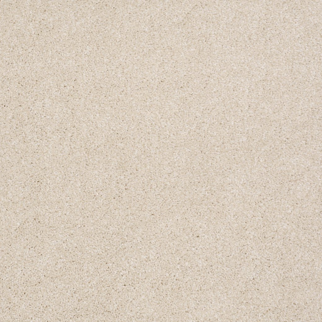 Shaw Floors Always Ready II - Sentimental