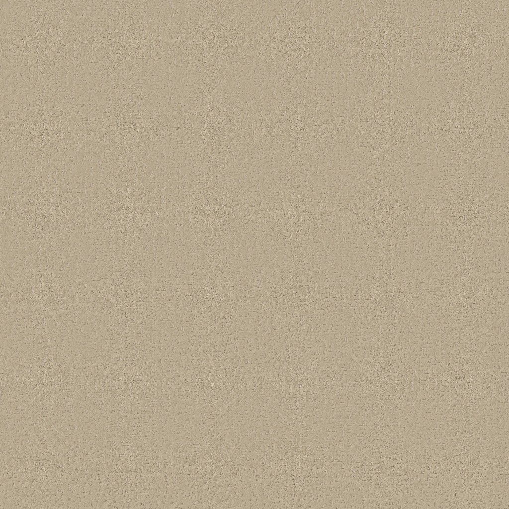 Shaw Floors Crafted Tone - Safari