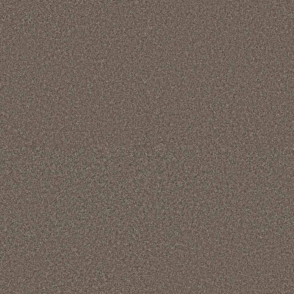 Shaw Floors Affirmation II - Havana