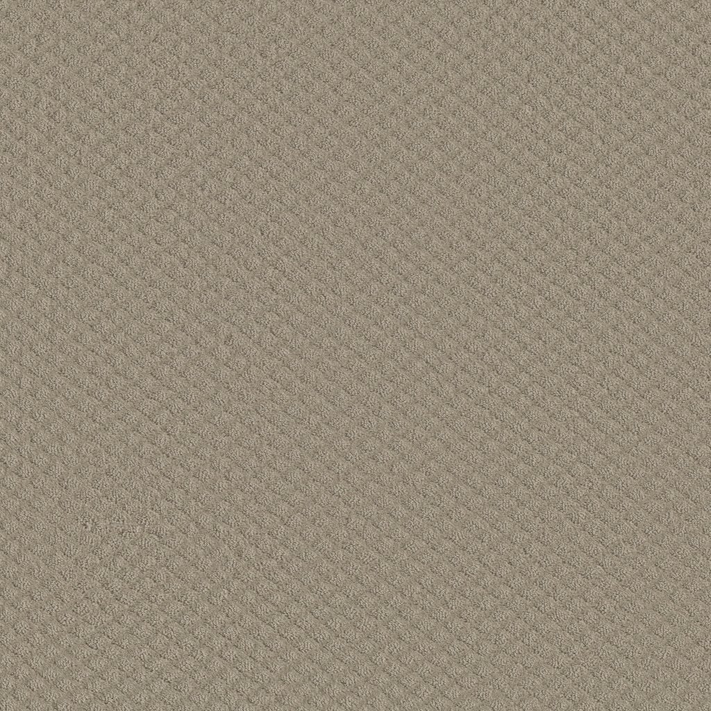 Shaw Floors Entwined With You - Park Avenue