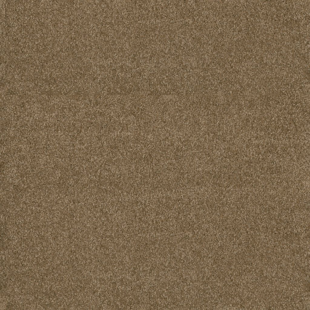 Shaw Floors Valiant - Maple Valley