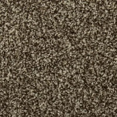 Mohawk Colorful Blend III - 889