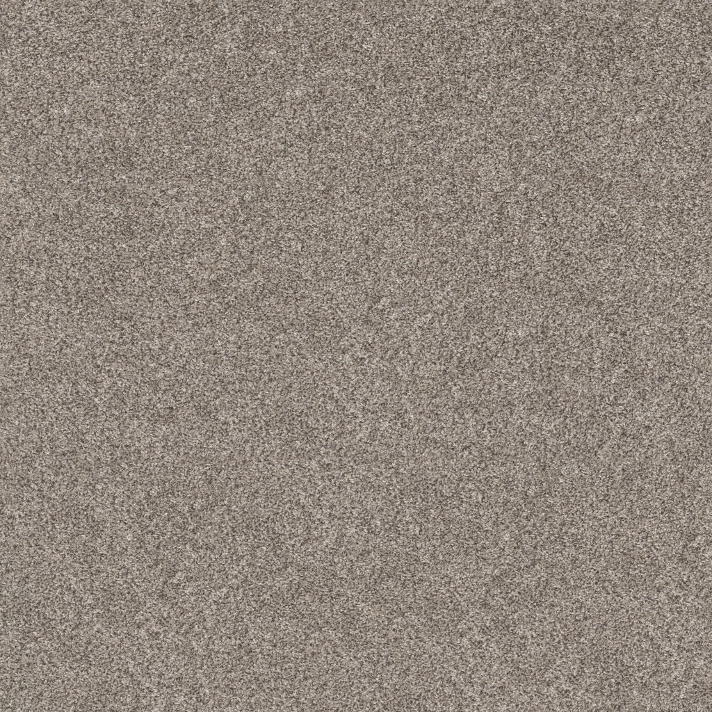 Shaw Floors Soft Effervescence - Overcast
