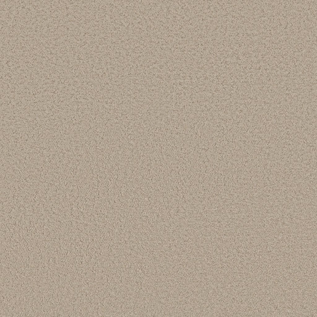 Shaw Floors Aerial View - Tiramisu