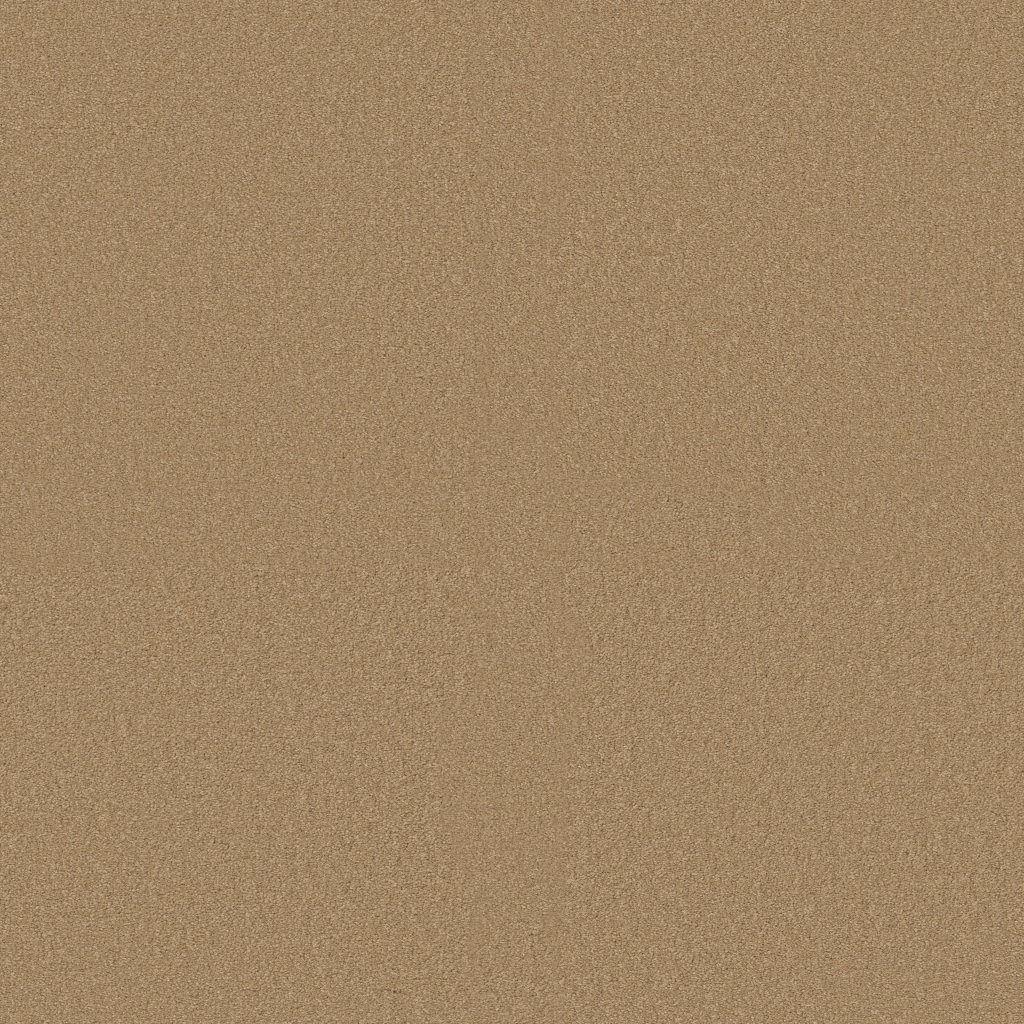 Shaw Floors Shingle Creek IV 15' - Cork