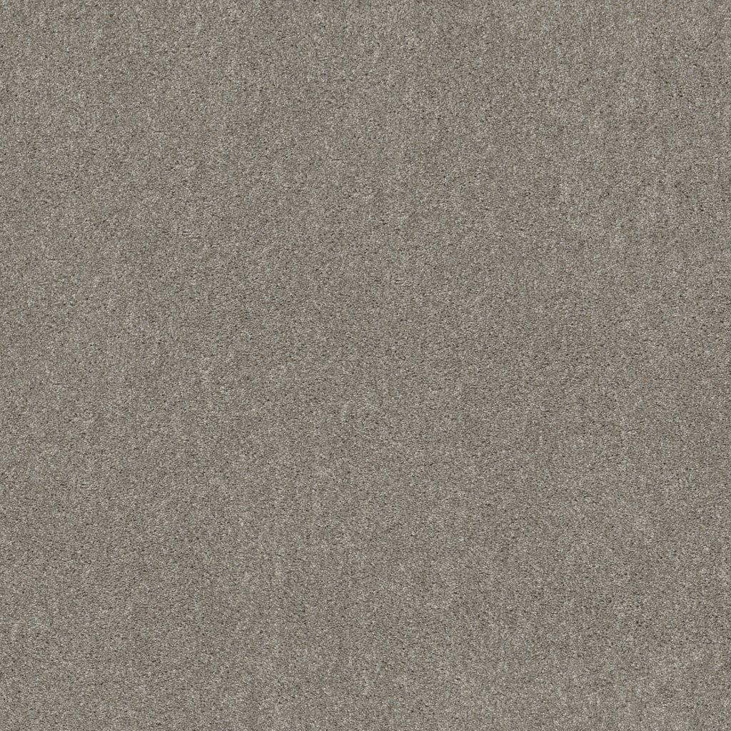 Shaw Floors Hot Topic - Flannel Gray
