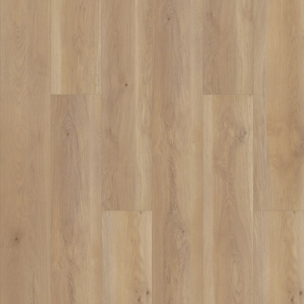 Shaw Floors Paragon HD Plus NB - Edgemont