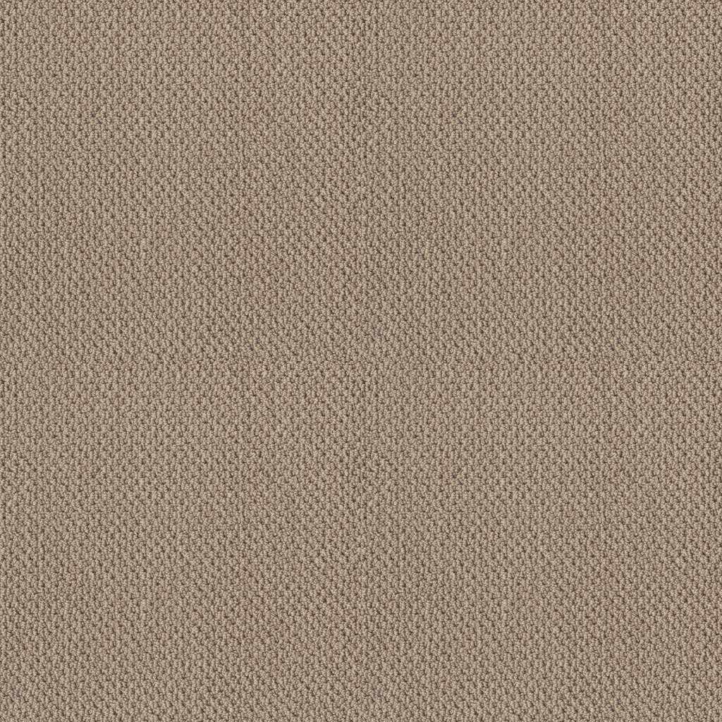 Shaw Floors Artist View Loop - Latte