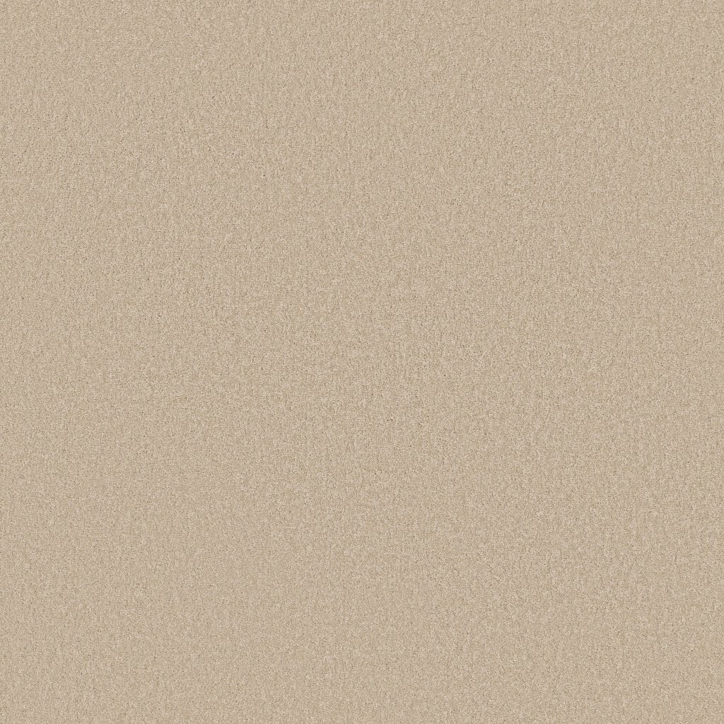 Shaw Floors Timeless Appeal III 12' - Pudding