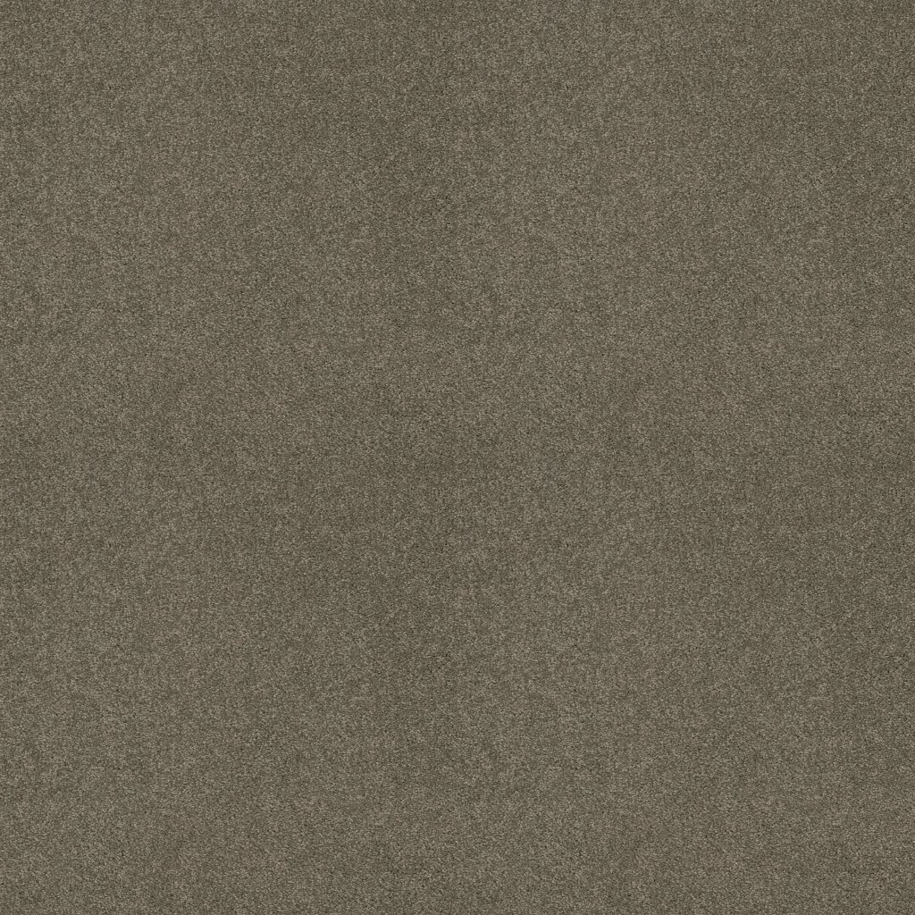 Shaw Floors Around The House III - Grey Flannel