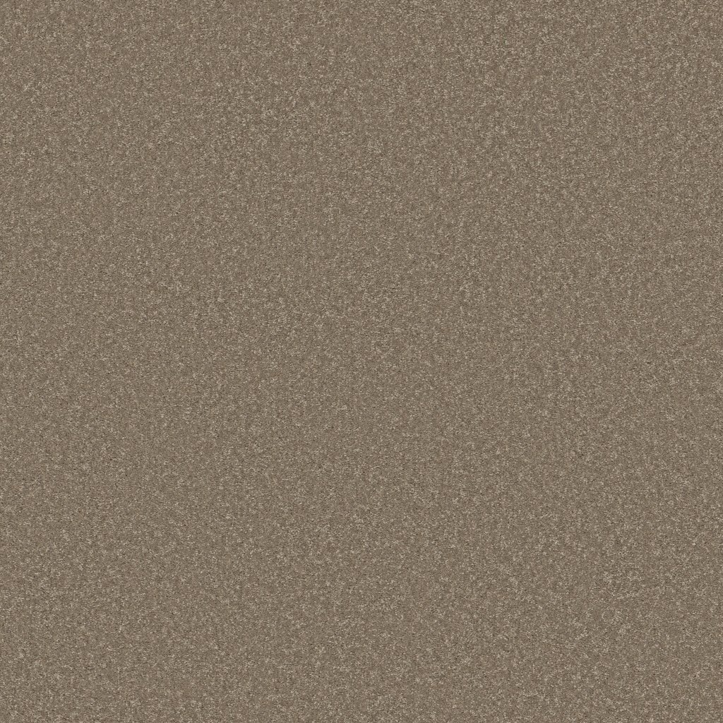 Shaw Floors Way To Go II - Chic Taupe