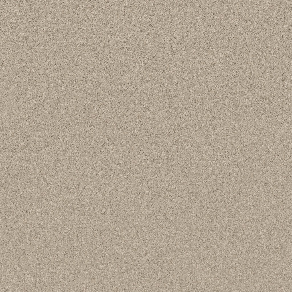 Shaw Floors Why Not Me - Marble