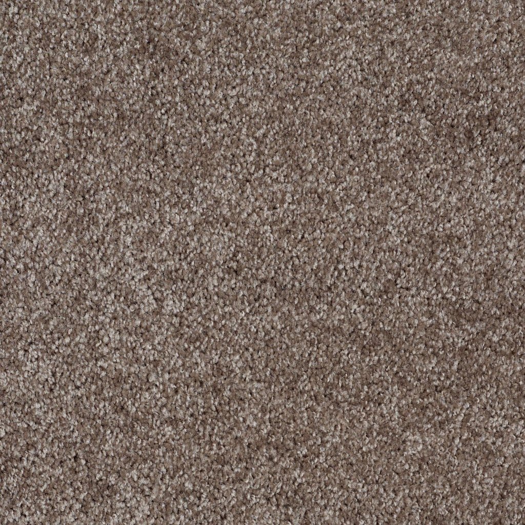 Shaw Floors Make It Yours (S) - Dockside
