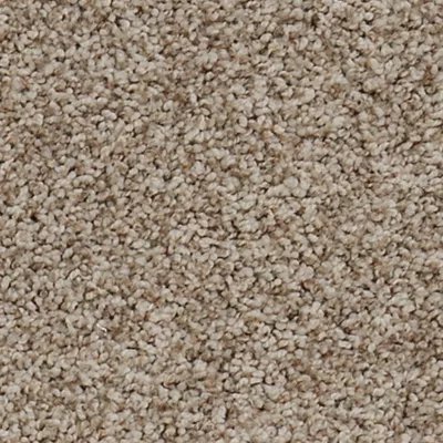 Mohawk Apricity - Winter Beige
