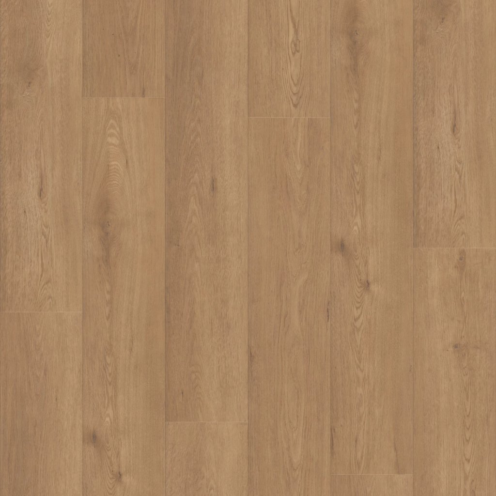 Shaw Floors Paragon HD Plus NB - Davenport