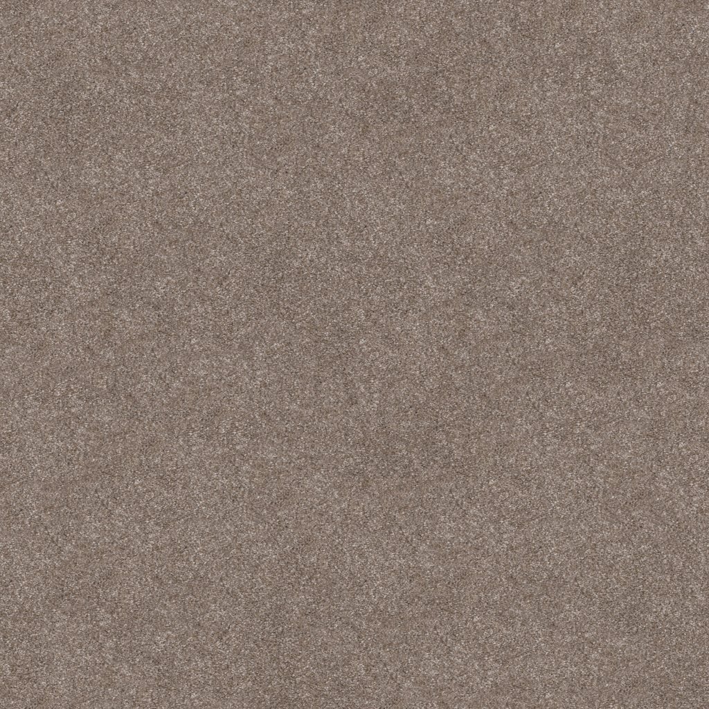 Shaw Floors Trusolutions III - Taupe Dream