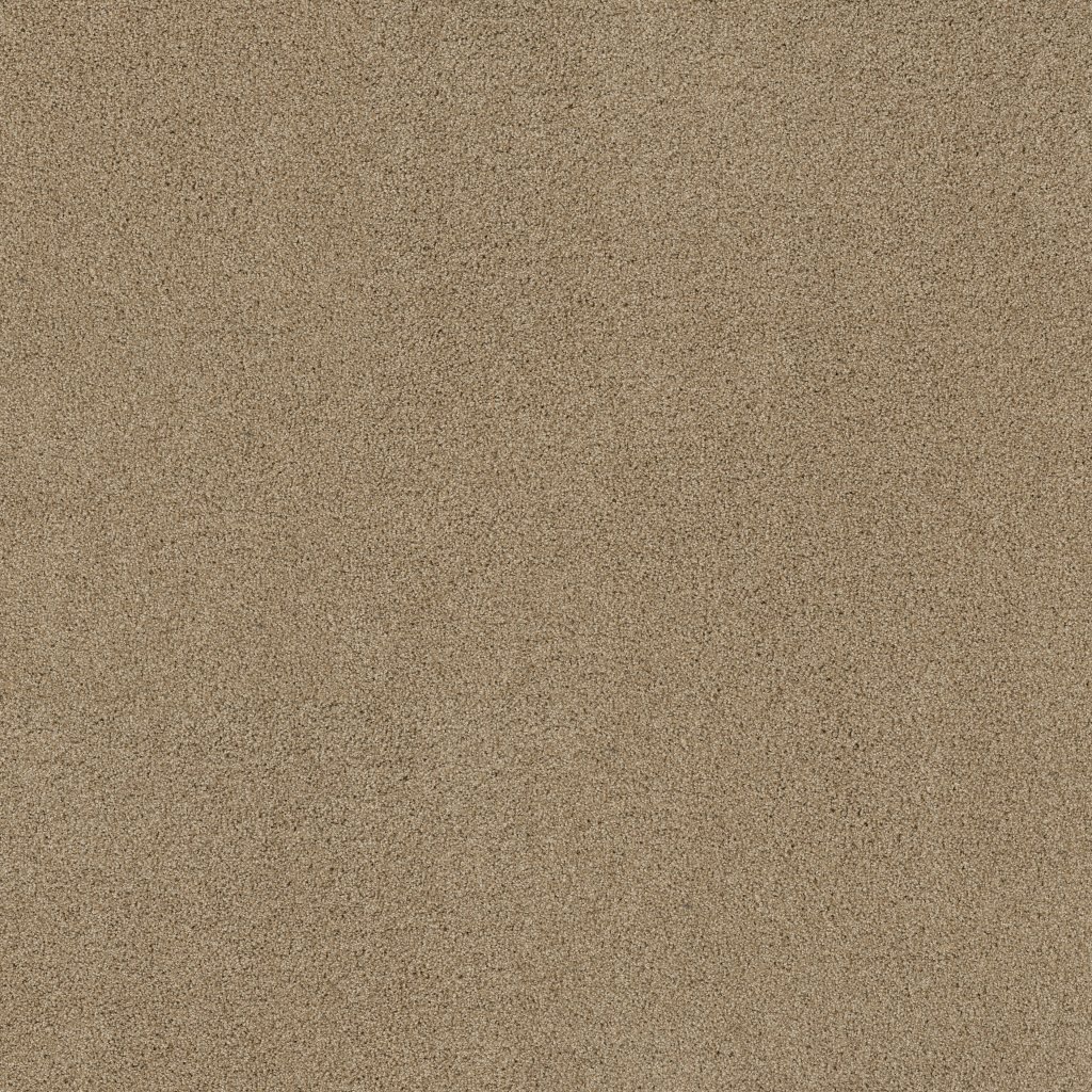 Shaw Floors Always Mine - Serengeti