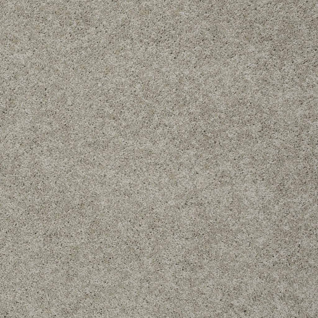 Shaw Floors Inspired By Ii - Natural