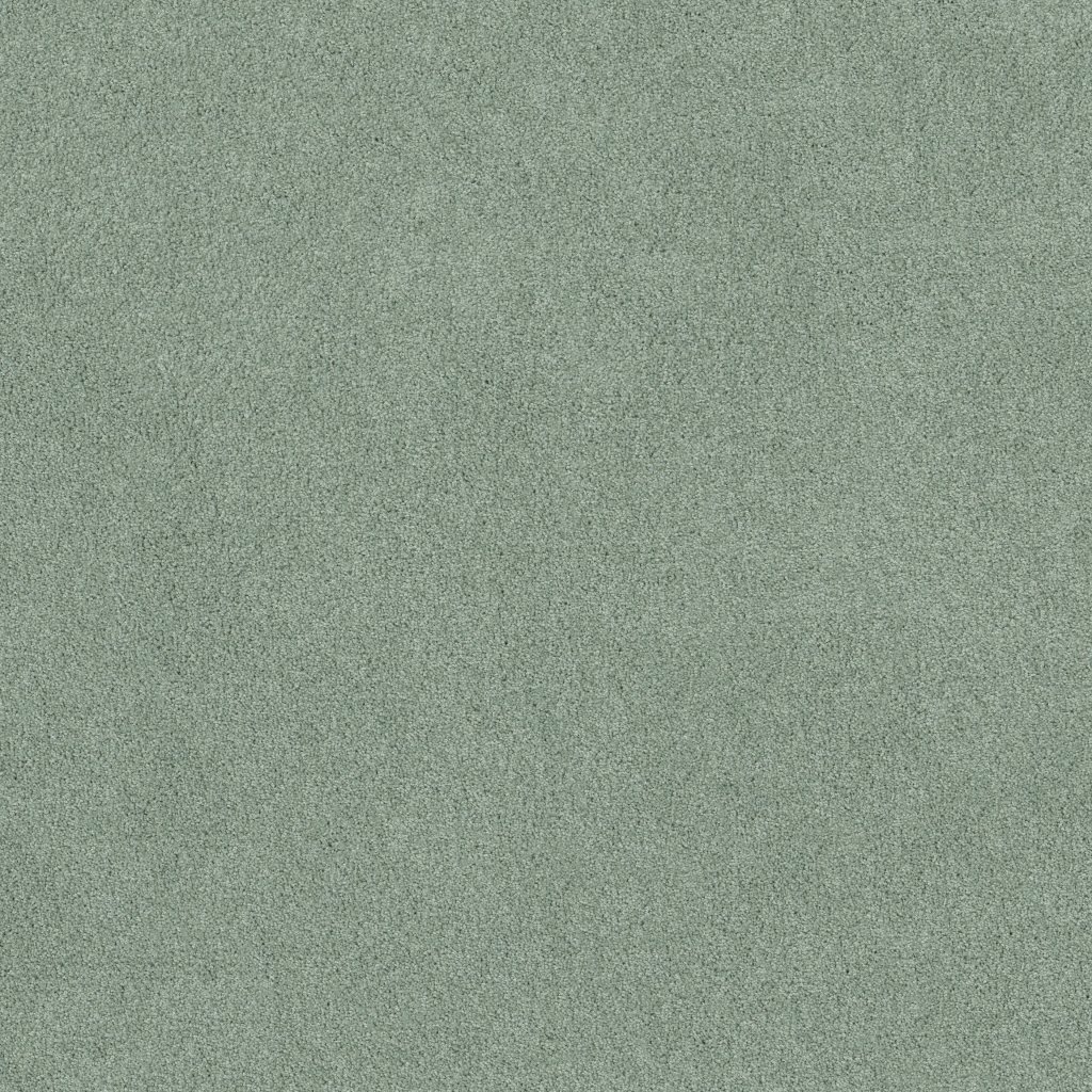 Shaw Floors Origins Ii - Daydream