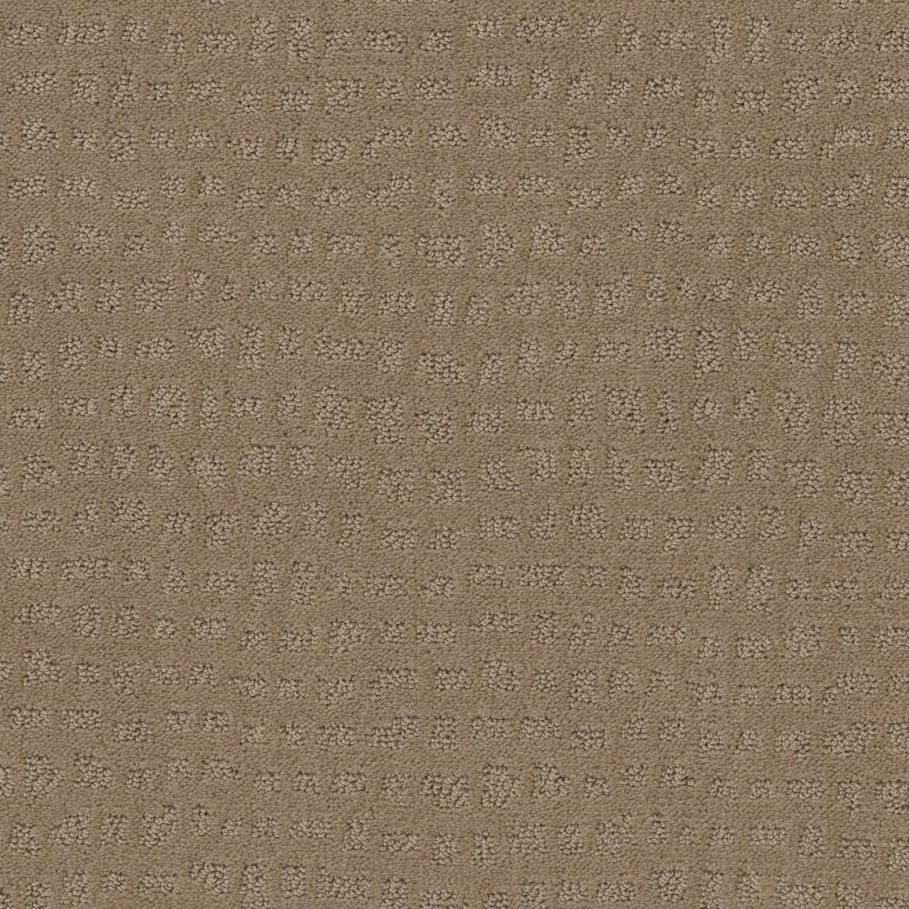 Shaw Floors Solstice - Sierra Hills