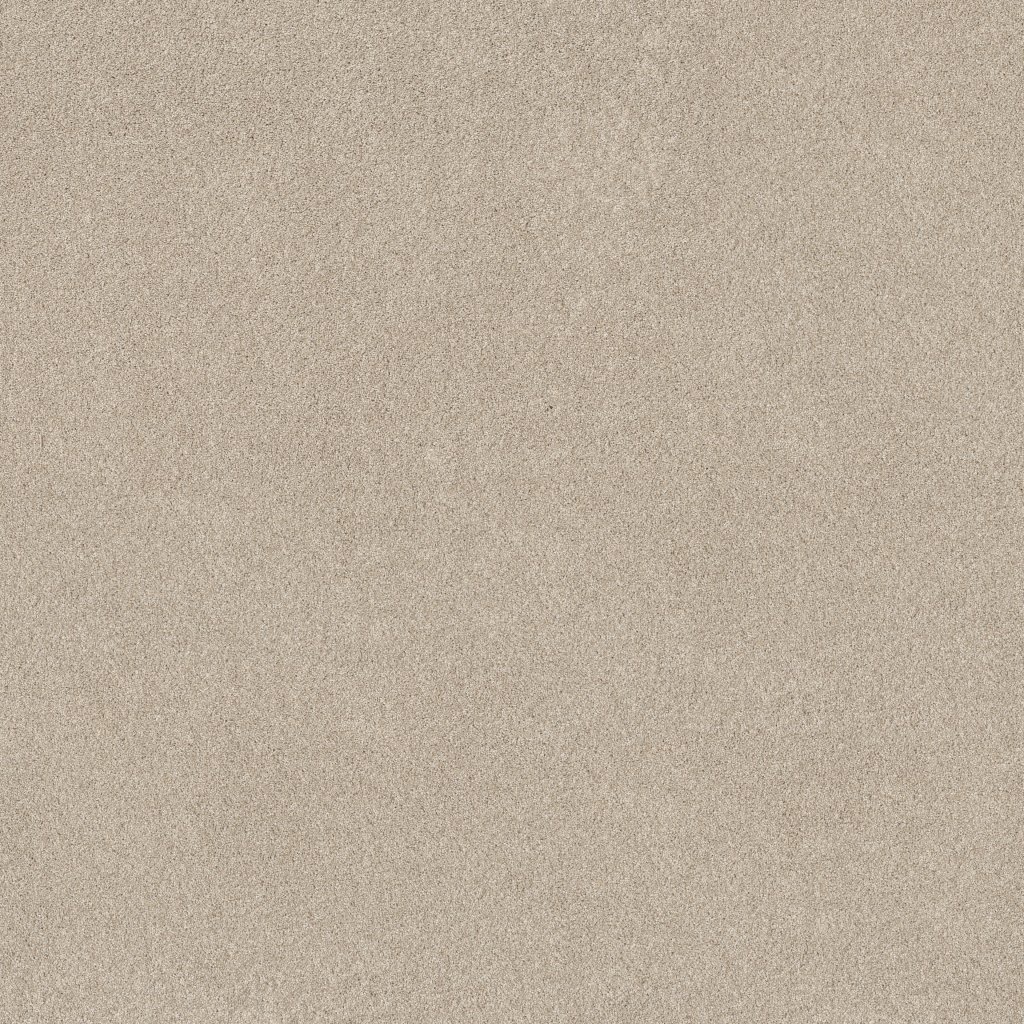 Shaw Floors Pure Affection Tonal - Cafe Latte